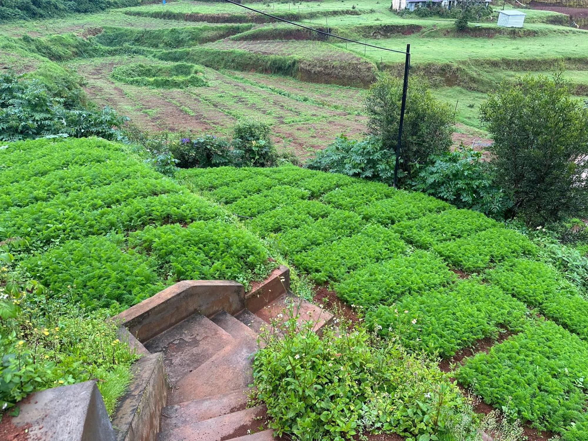 Kanjira House Udagamandalam Exterior foto